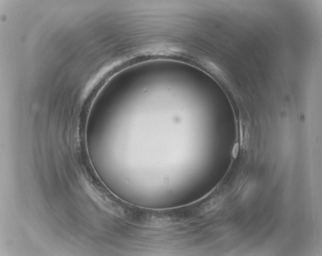 X0000056030531200508261909