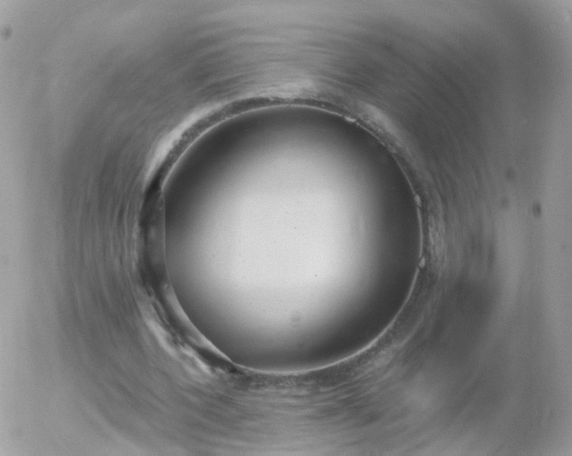 X0000056030532200508261909