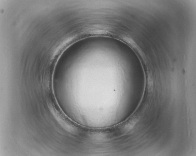 X0000056030533200508261909