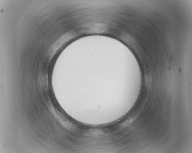 X0000056030534200508261909