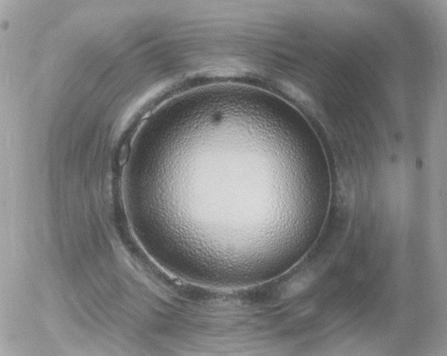 X0000056030535200508261909