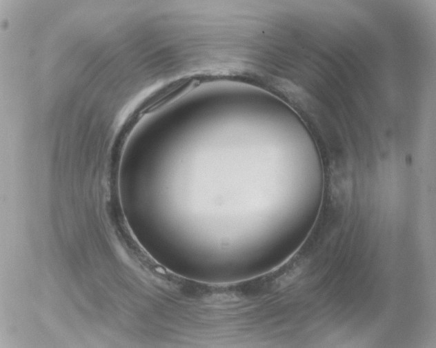 X0000056030536200508261909