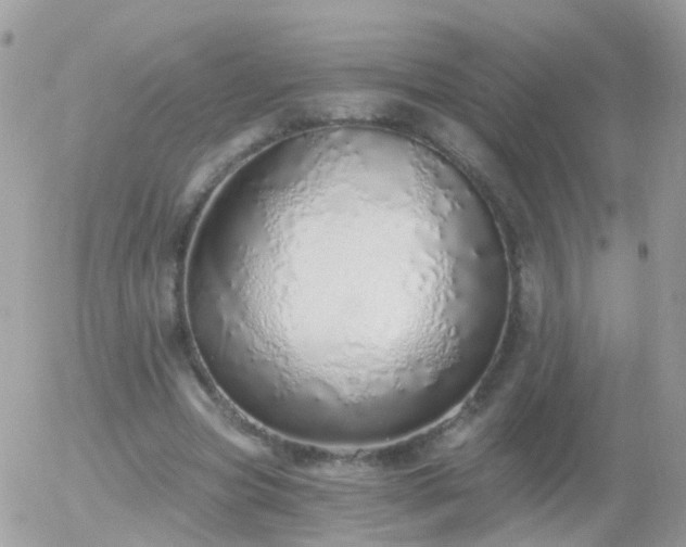 X0000056030537200508261909