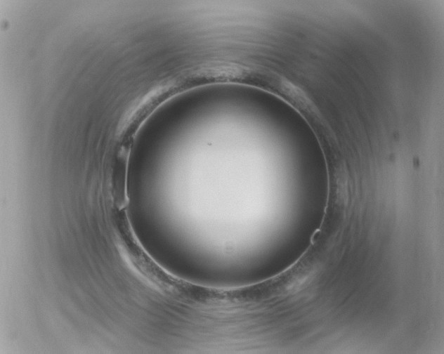 X0000056030538200508261909