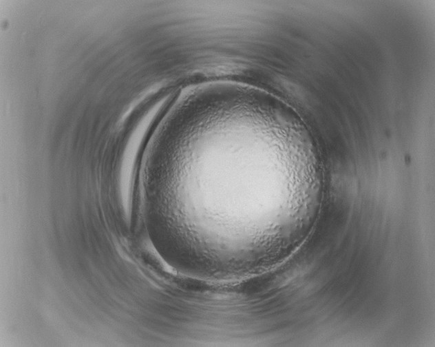 X0000056030539200508261909