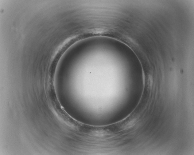 X0000056030540200508261909