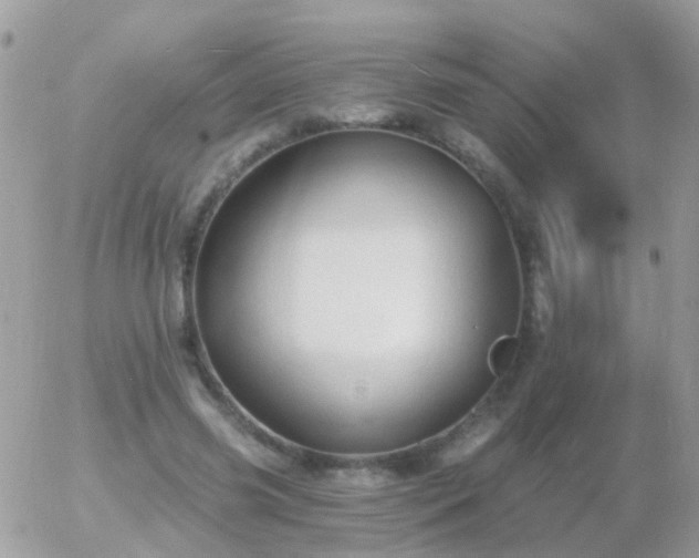 X0000056030541200508261909