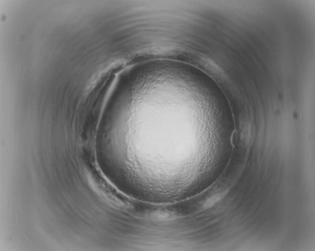 X0000056030542200508261909