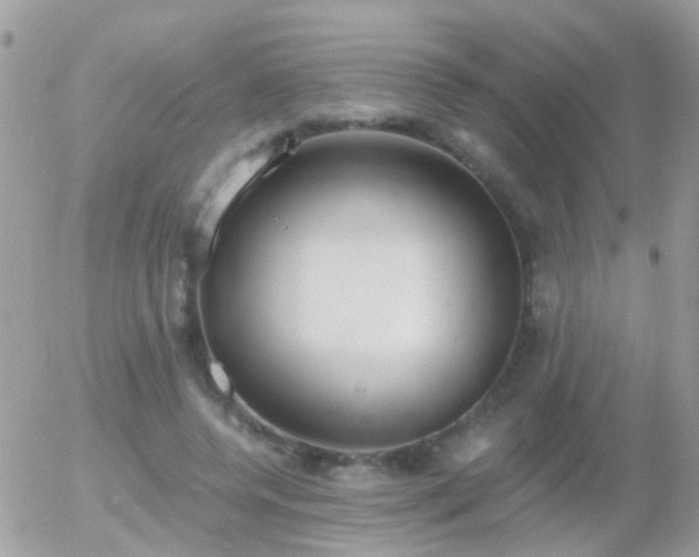 X0000056030544200508261909