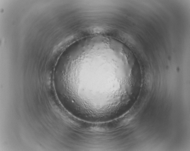 X0000056030545200508261909