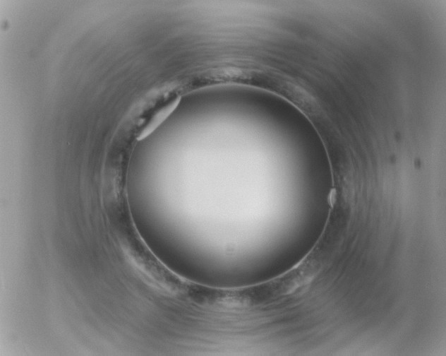 X0000056030546200508261909