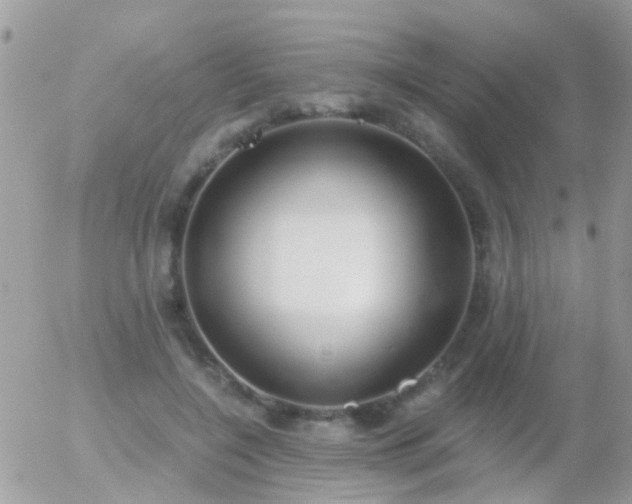 X0000056030548200508261909