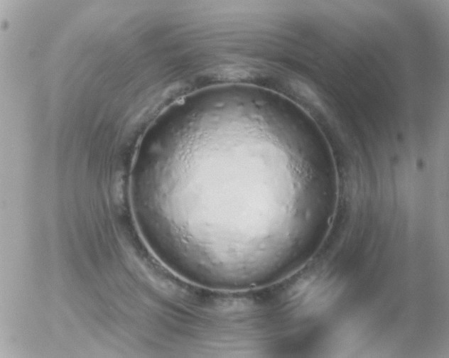 X0000056030549200508261909