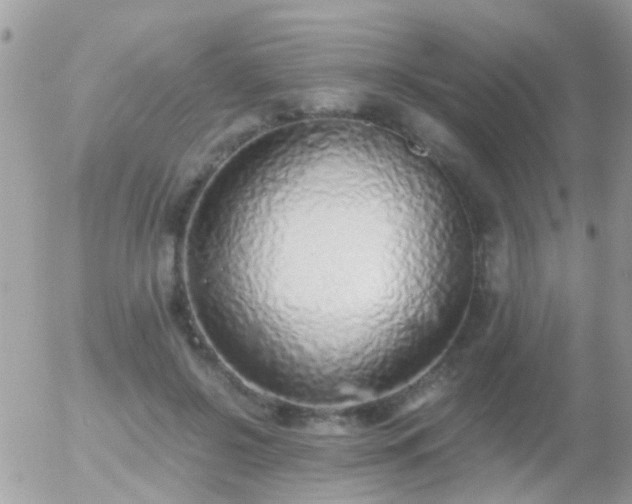 X0000056030550200508261909