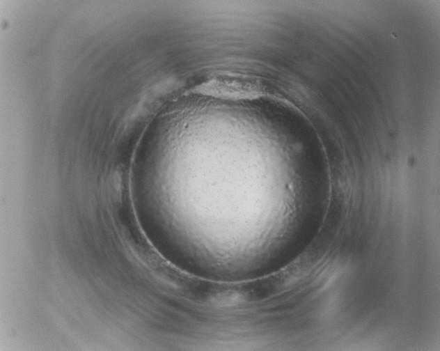 X0000056030551200508261909