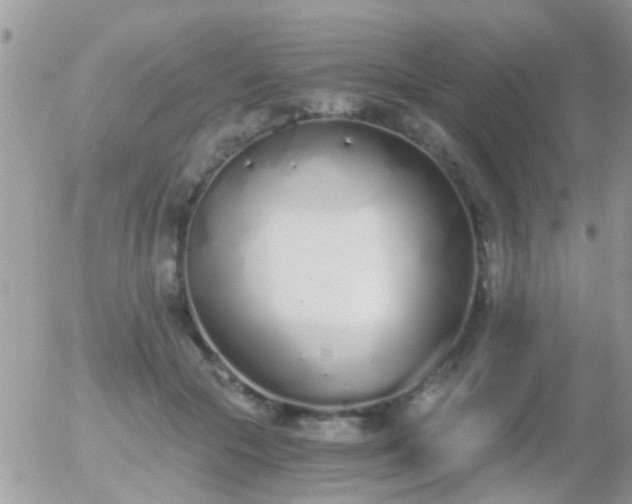 X0000056030553200508261909