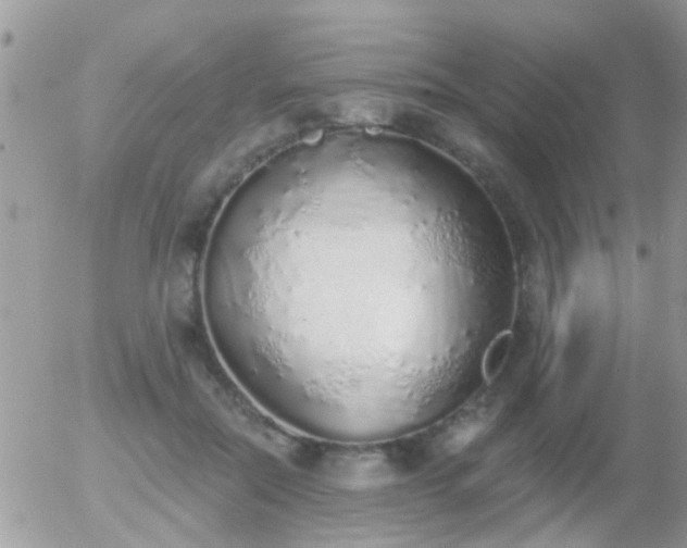 X0000056030554200508261909