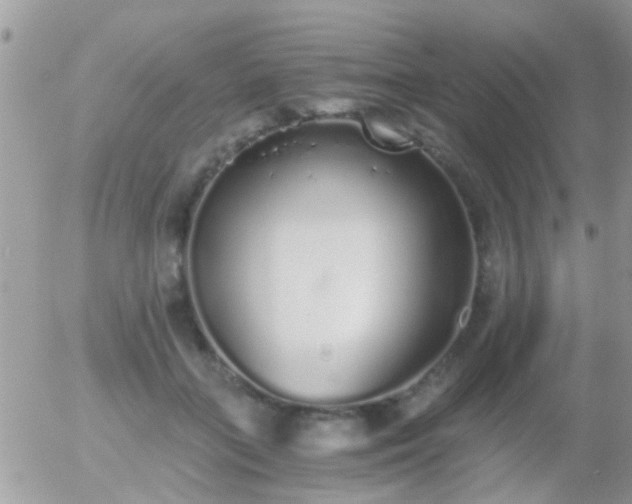 X0000056030555200508261909