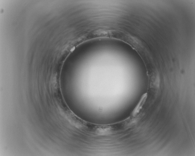 X0000056030560200508261909