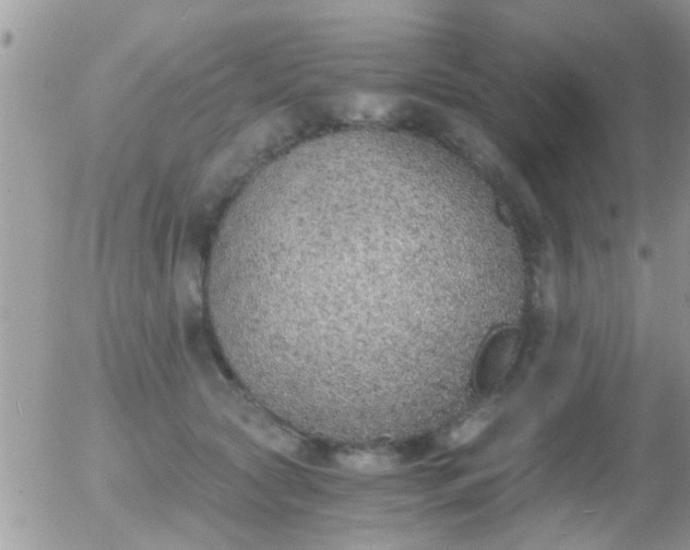 X0000056030561200508261909