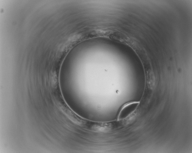 X0000056030563200508261909