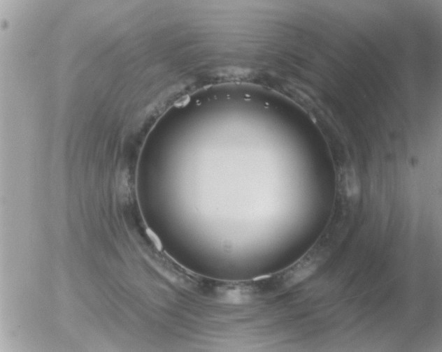 X0000056030564200508261909