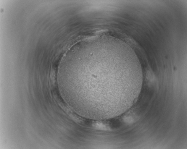 X0000056030565200508261909