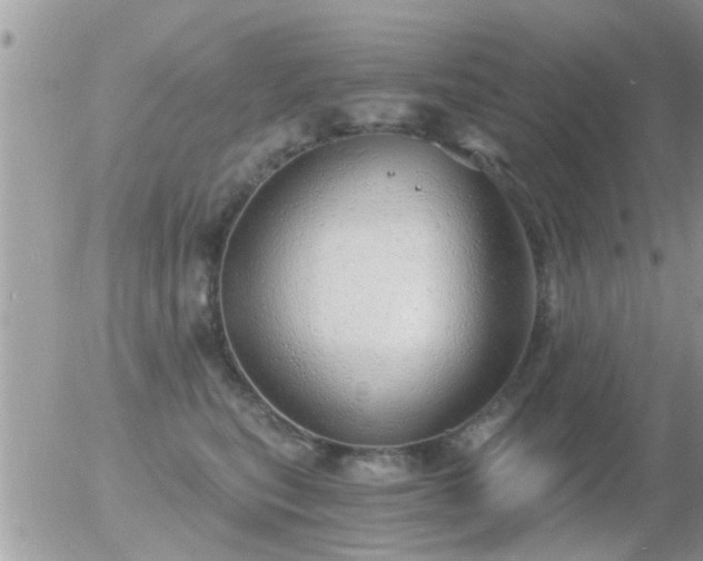 X0000056030567200508261909