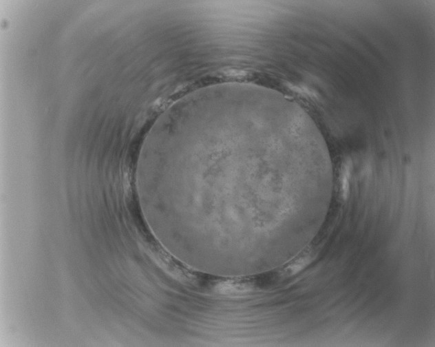 X0000056030568200508261909