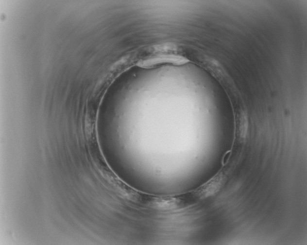 X0000056030569200508261909