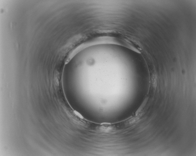 X0000056030570200508261909