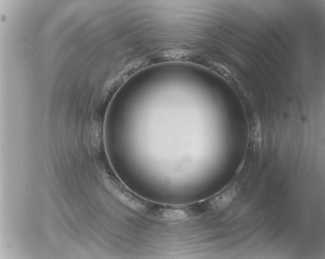 X0000056030572200508261910