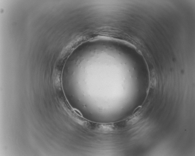 X0000056030573200508261910