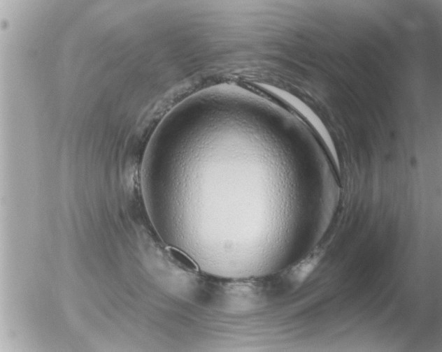 X0000056030574200508261910