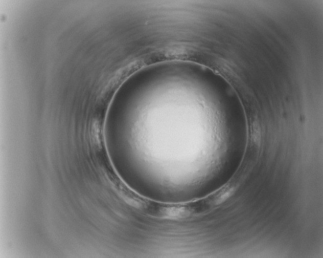 X0000056030575200508261910