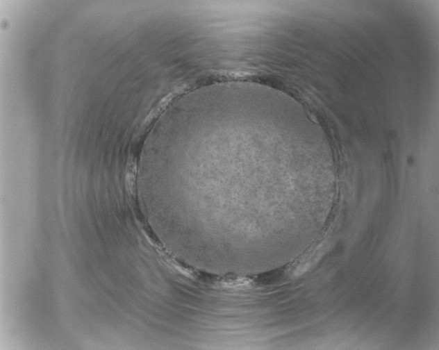 X0000056030576200508261910