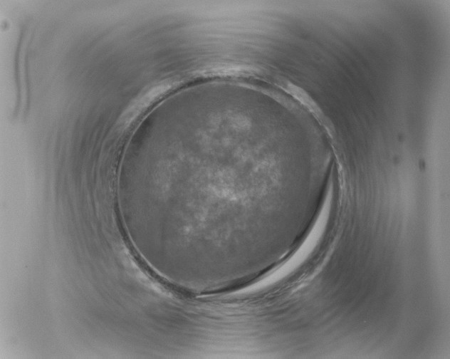 X0000056030577200508261909