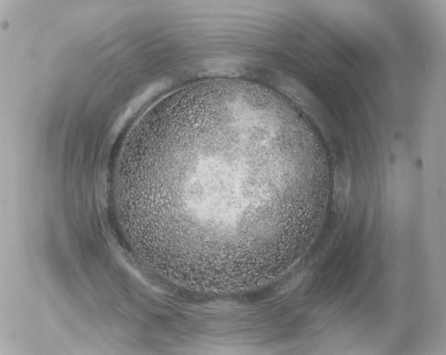 X0000056030578200508261909