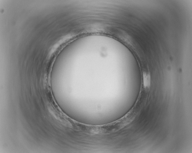 X0000056030579200508261909