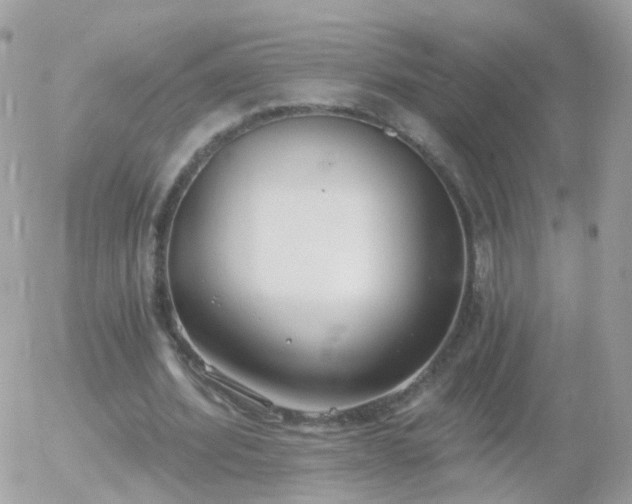 X0000056030580200508261909