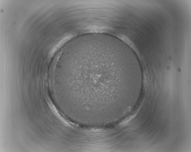 X0000056030581200508261909