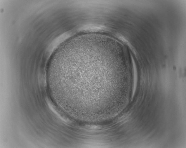 X0000056030582200508261909