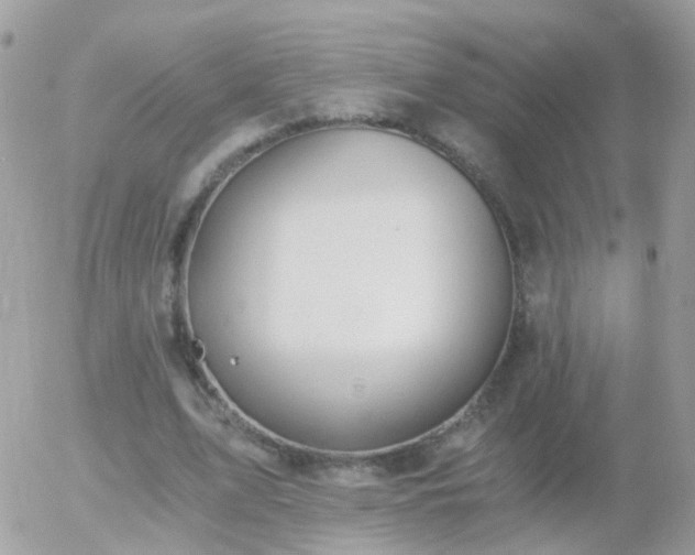 X0000056030583200508261909