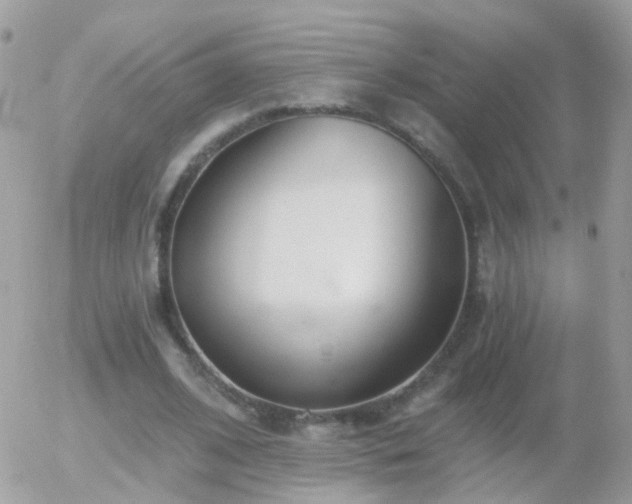 X0000056030584200508261909