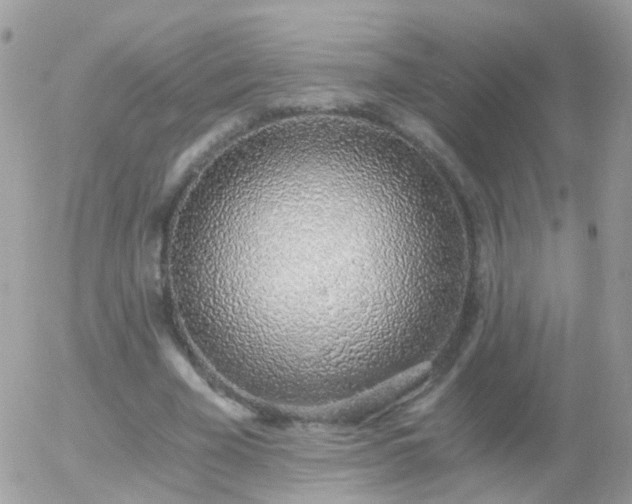 X0000056030585200508261909