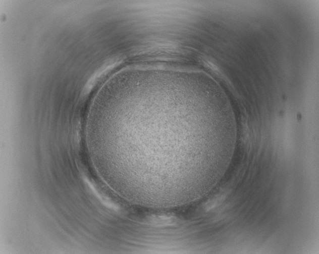 X0000056030586200508261909