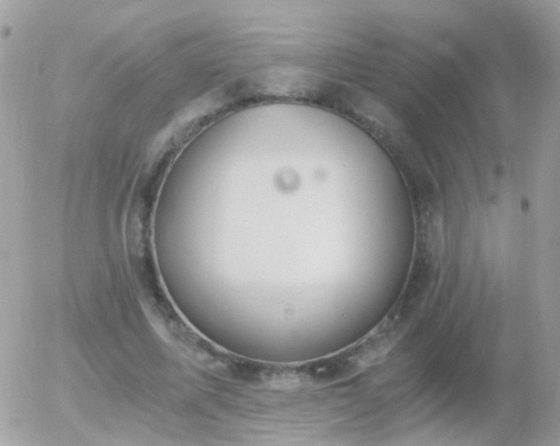 X0000056030587200508261909