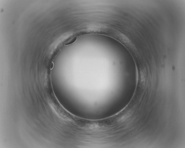 X0000056030588200508261909