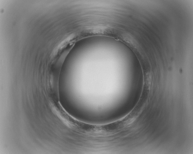 X0000056030589200508261909