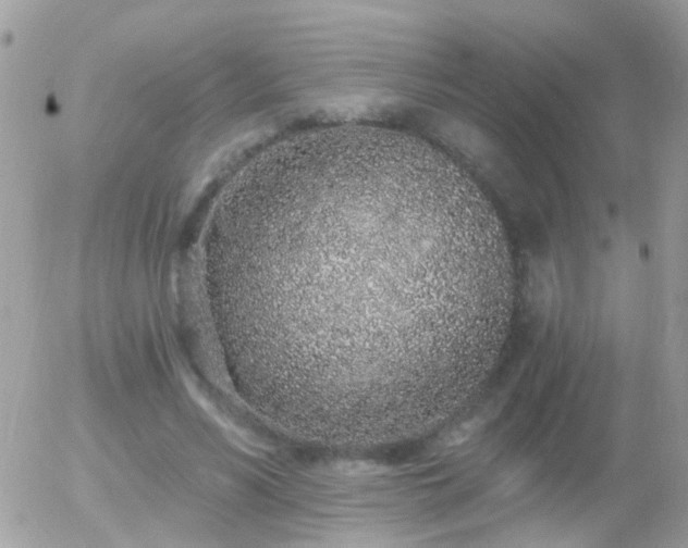 X0000056030590200508261909